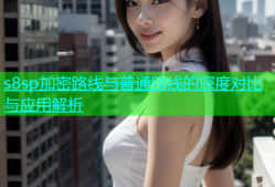 s8sp加密路线与普通路线的深度对比与应用解析