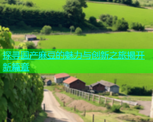 探寻国产麻豆的魅力与创新之旅揭开新篇章  第1张