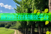 麻豆91在线播放平台