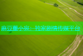 麻豆董小宛：独家剧情传媒平台
