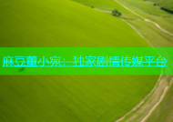 麻豆董小宛：独家剧情传媒平台