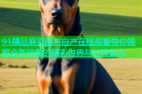 91精品麻豆国产自产在线观看带你领略全新视角的精彩世界与独特魅力