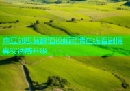 麻豆刘思慧醉酒视频高清在线看剧情真实诱惑升级