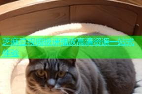 芝麻豆视频极速播放高清资源一站式体验