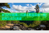 麻豆AV高清：沉浸式影音盛宴，即刻释放你的渴望