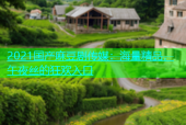 2021国产麻豆剧传媒：海量精品，午夜丝的狂欢入口