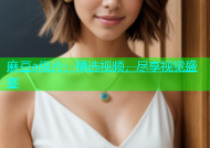 麻豆a级片：精选视频，尽享视觉盛宴