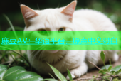 麻豆AV：华语平台，原声中文对白