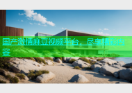 国产激情麻豆视频平台，尽享精彩内容