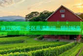 麻豆视频：多区高清影视，随时畅享