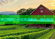 麻豆视频：多区高清影视，随时畅享