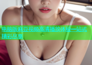 电脑版麻豆视频高清播放体验一站式精彩尽享