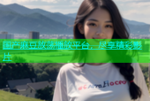 国产麻豆放荡播放平台，尽享精彩影片