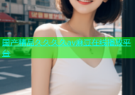 国产精品久久久久av麻豆在线播放平台