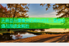 天麻豆与鹰嘴豆的奇妙对比：营养价值与用途全解析