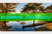 麻豆传媒精选集：华语互动视频平台