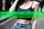 麻豆视频高清在线看，尽享流畅影视体验
