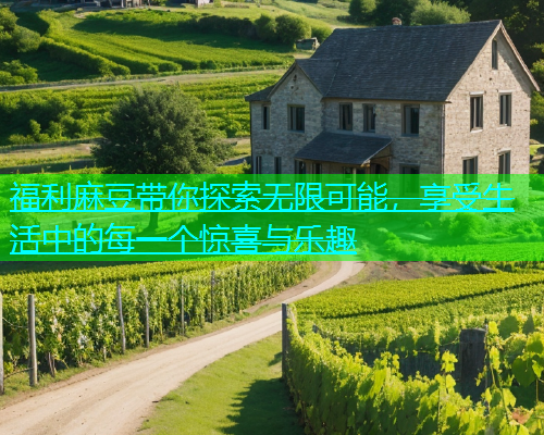 福利麻豆带你探索无限可能，享受生活中的每一个惊喜与乐趣  第2张