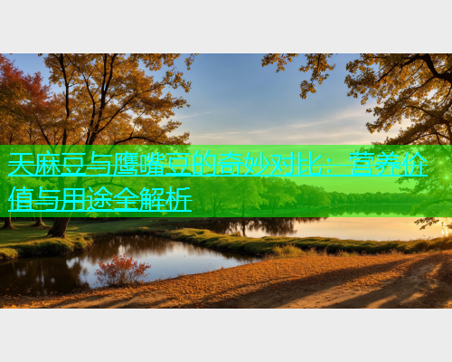 天麻豆与鹰嘴豆的奇妙对比：营养价值与用途全解析  第1张
