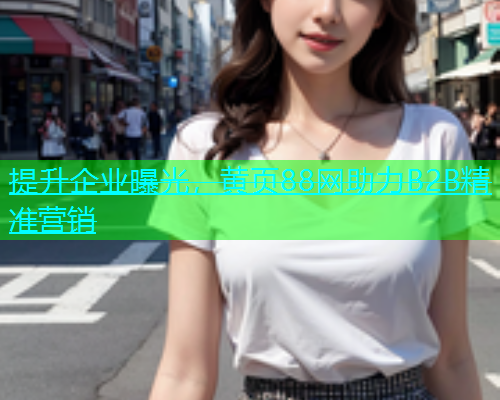 提升企业曝光，黄页88网助力B2B精准营销  第1张