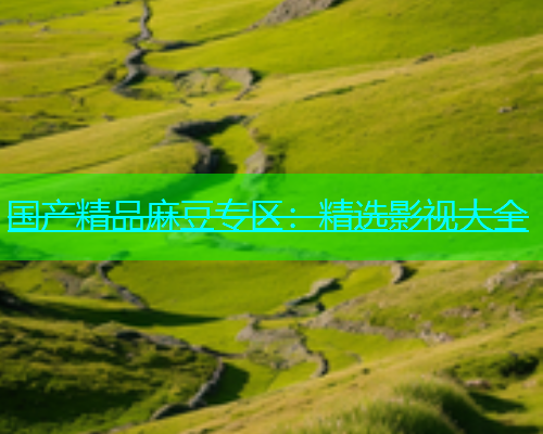 国产精品麻豆专区：精选影视大全  第1张