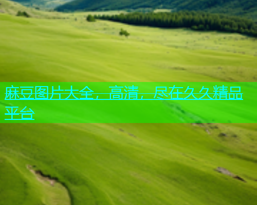 麻豆图片大全，高清，尽在久久精品平台  第1张